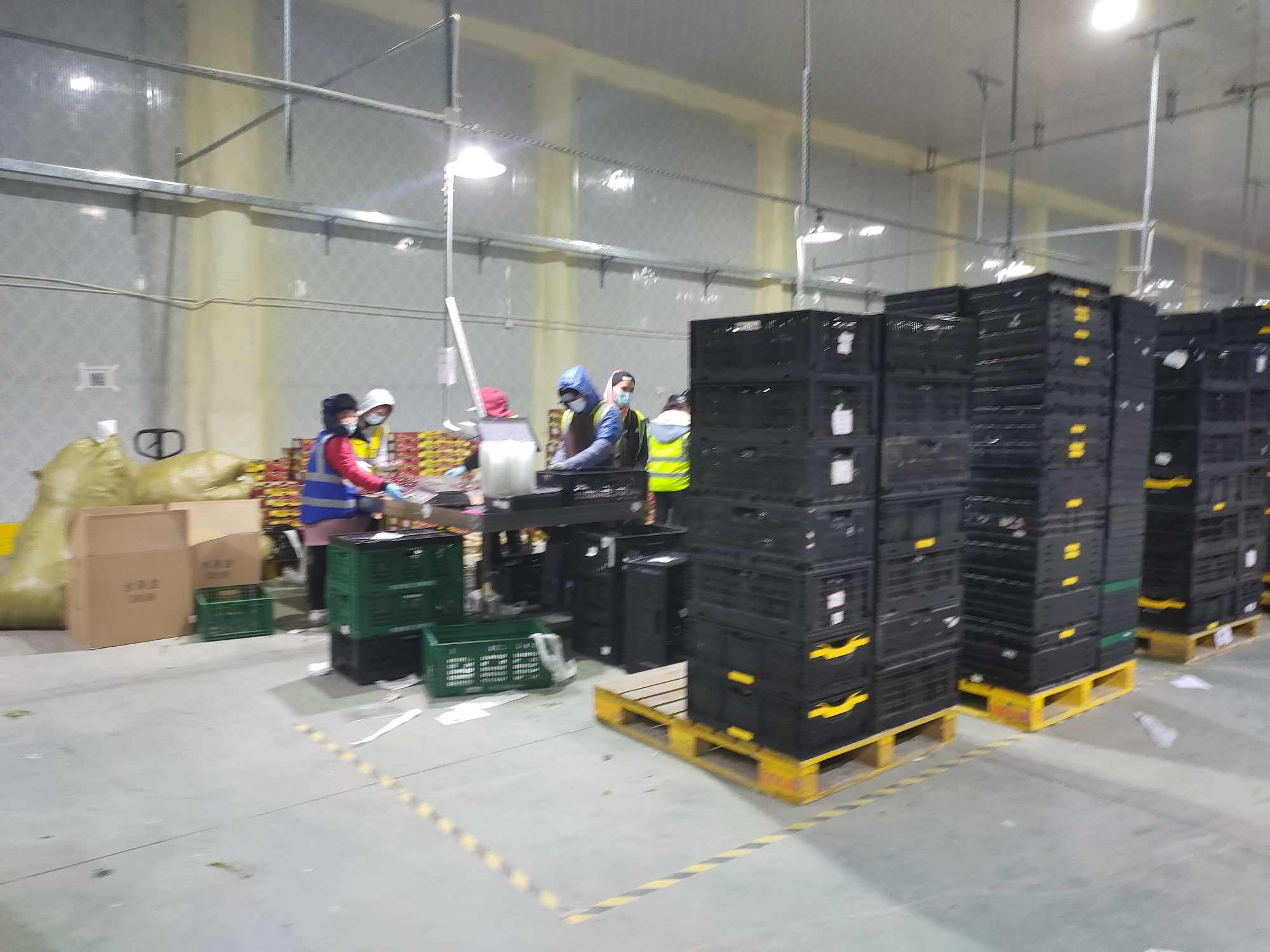 佛山顺德区佛山顺德美团仓库 要求:18-42岁男女不限,适