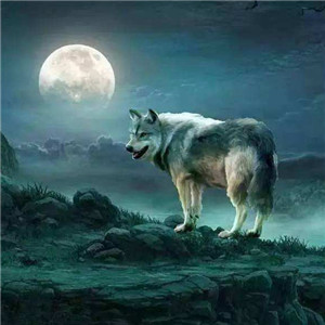 南充挖机钩机维修找活