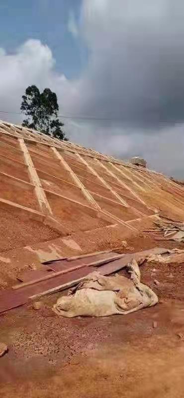 广西梧州招做高铁,涵洞,护坡的班组人员,斜坡斜度指有45度左