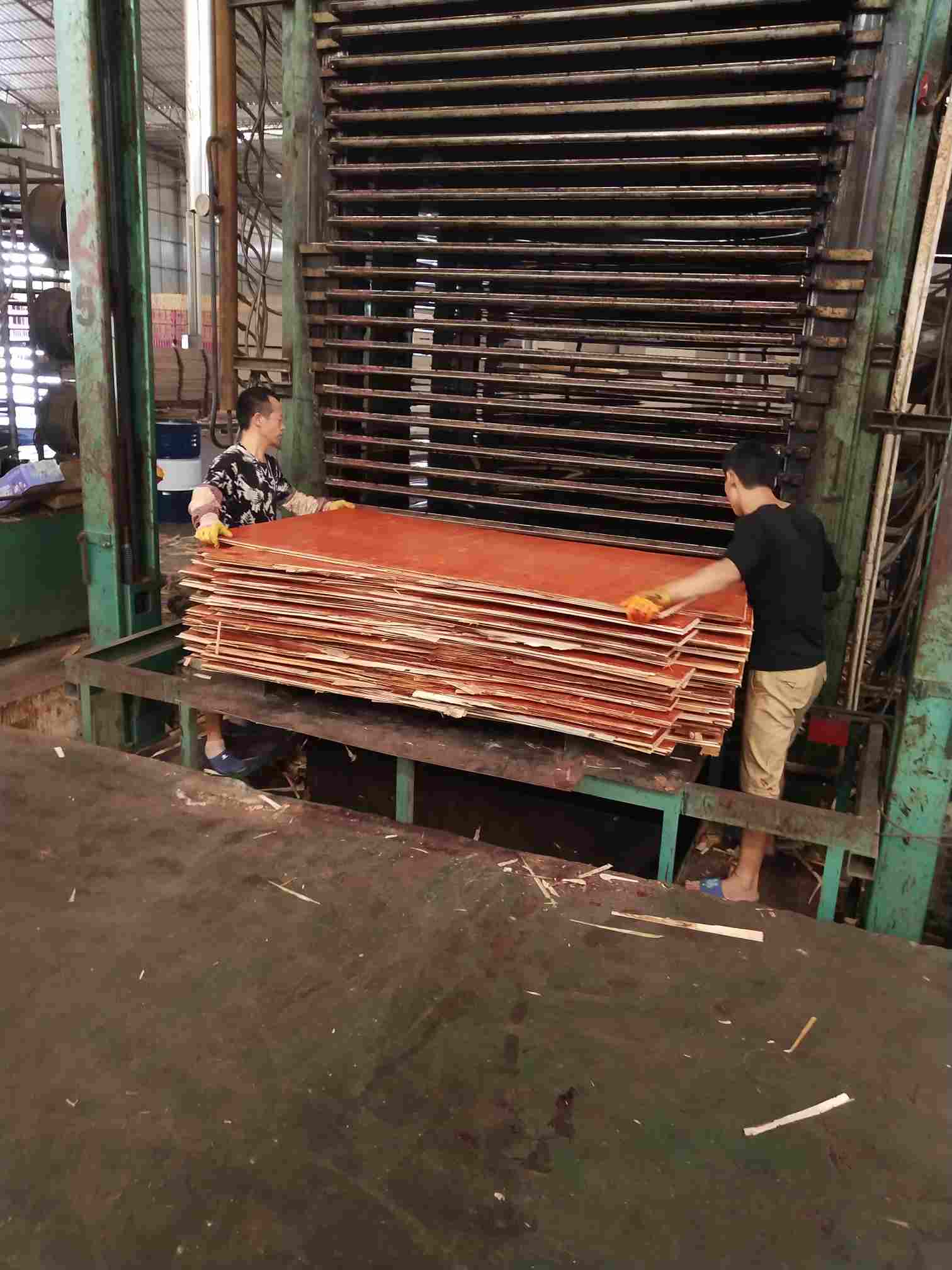 崇左扶绥县红板厂,招排板工50名