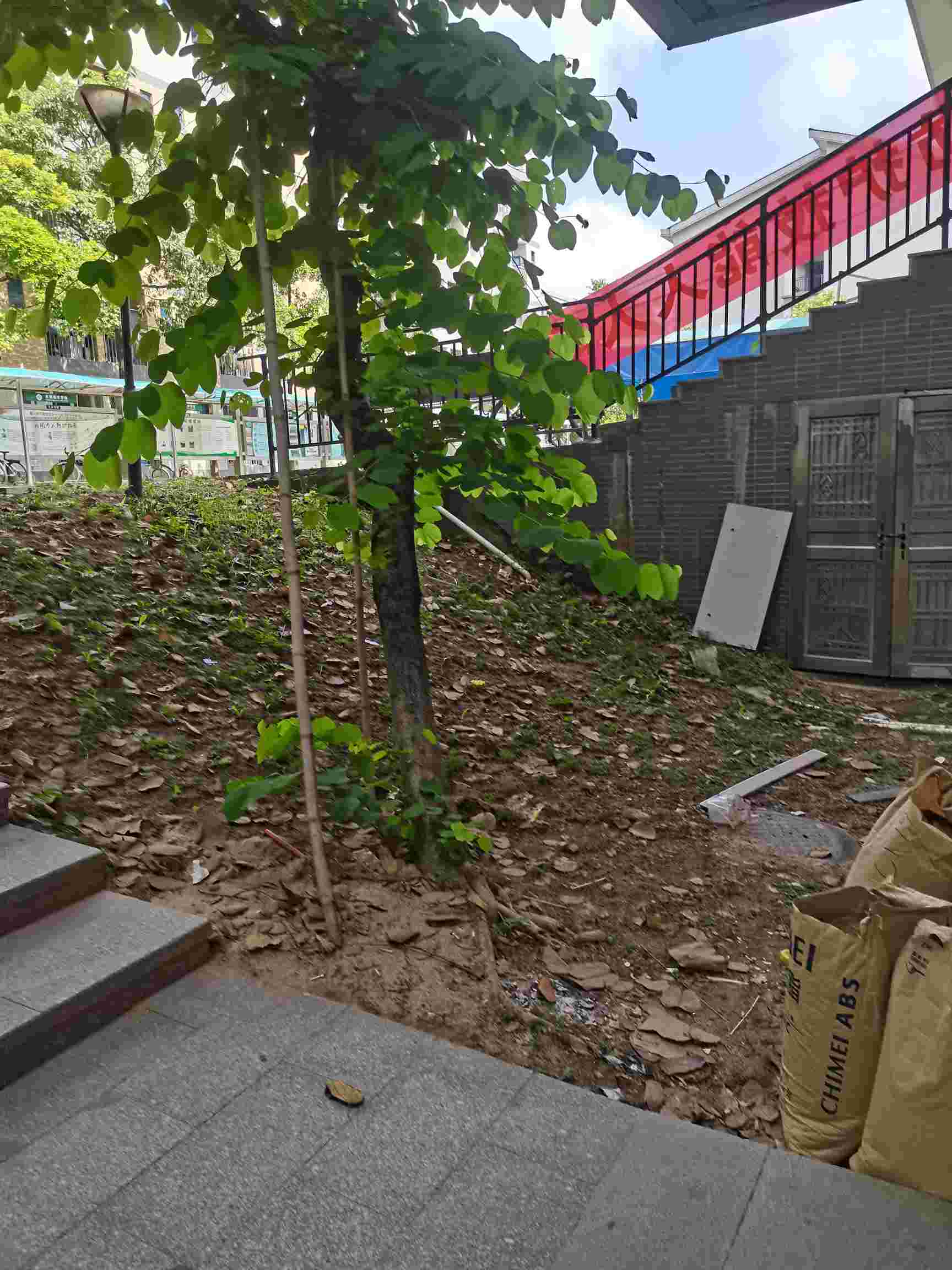 广东东莞施工地点在东莞城市学院,要挖两棵树,还有泥巴,需要3