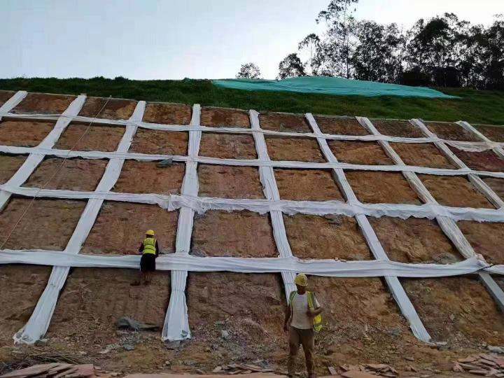 惠州惠阳区高速公路护坡格子梁钢筋制作绑扎安放挖十公分底槽