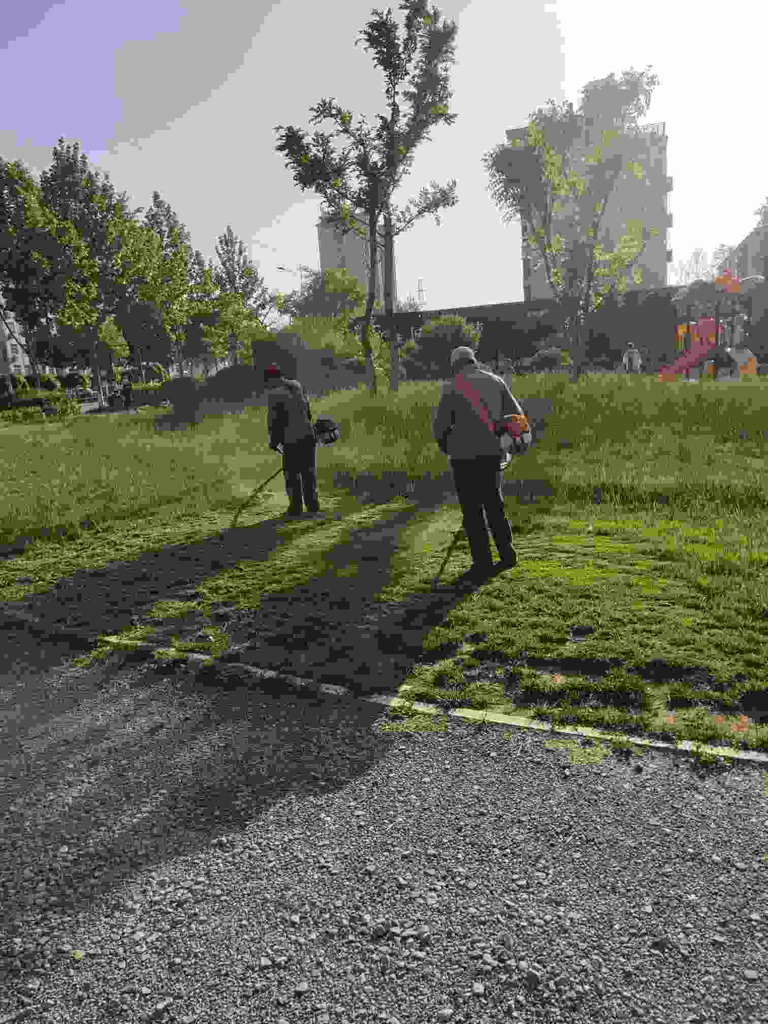 绿化修剪工,绿化植保人员.