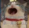 负责外卖出餐及打包