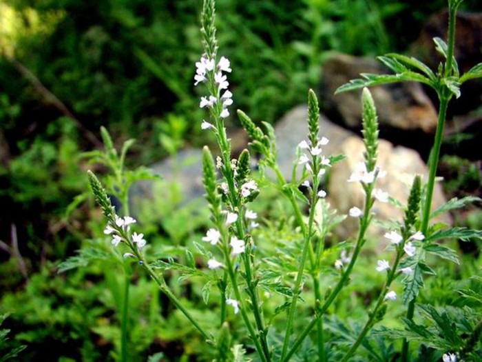 安宁市亮化工程施工员找活平台-附近急招城市亮化照明