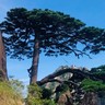 盘锦双台子区招工地小工/杂工、泥瓦工岗位职责:1.负责施工现场的辅助性工作,包括材料搬运、场地清理、工