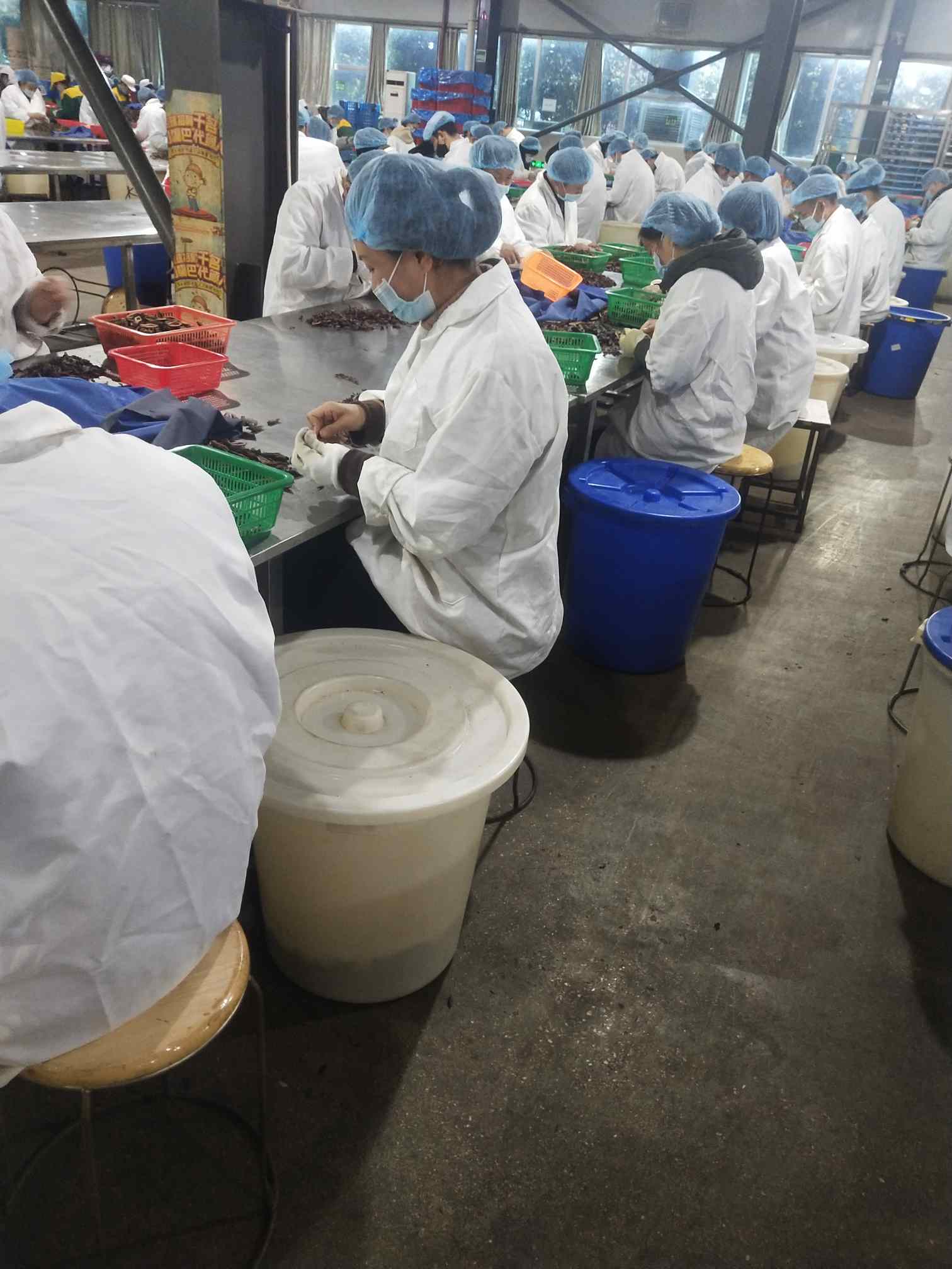 湖南湘潭长白班长白班女工18