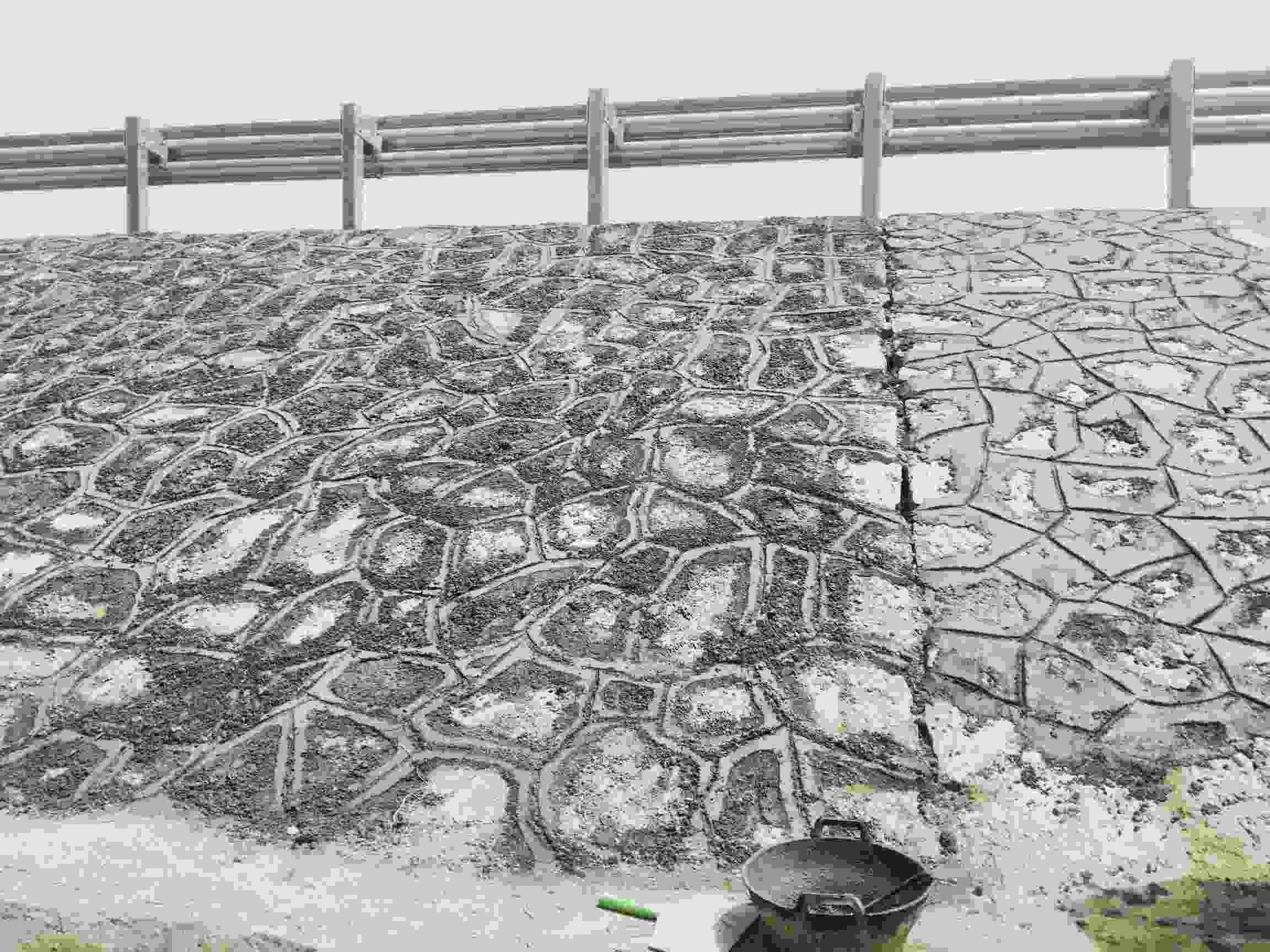 山东德州高速护坡