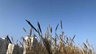 武汉东西湖区招水电