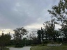 天津东丽区招砼工/打灰/浇筑,振捣工/打大棒,工地力工。现在需要技工两名工资330元每天;小工两名180~220