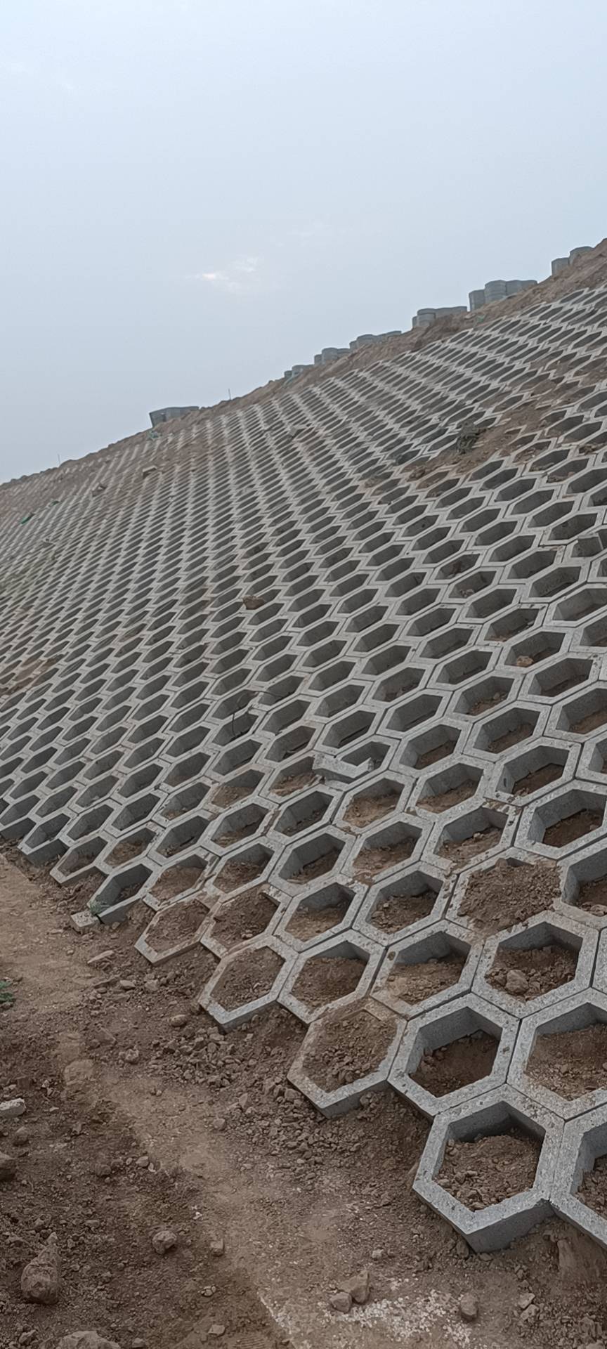 北京大兴区北京大兴区招护坡工人六棱砖九角钱一块砖有干的