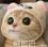 陶先生